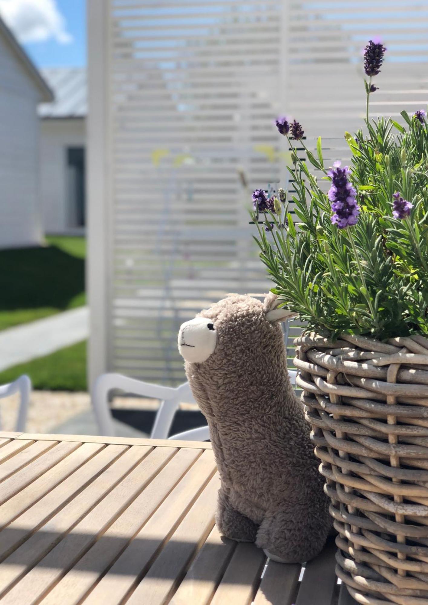Ferienhaus Plazowicze - Letniskowe W Mielnie *